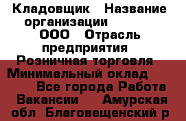 Кладовщик › Название организации ­ O’stin, ООО › Отрасль предприятия ­ Розничная торговля › Минимальный оклад ­ 17 200 - Все города Работа » Вакансии   . Амурская обл.,Благовещенский р-н